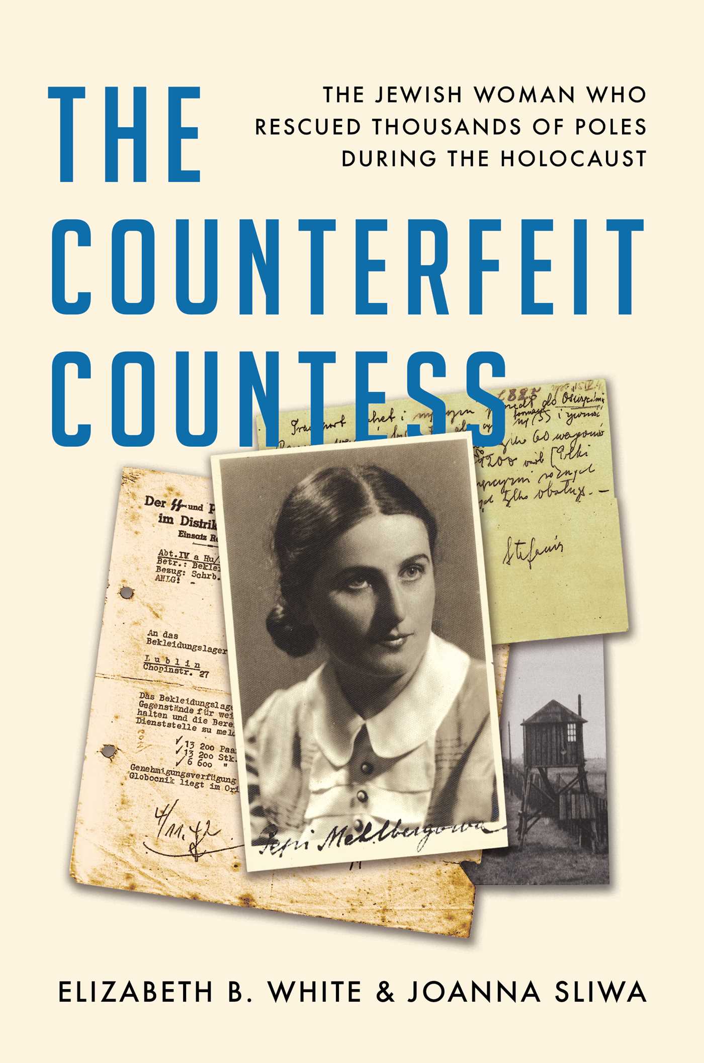 Image for "The Counterfeit Countess"
